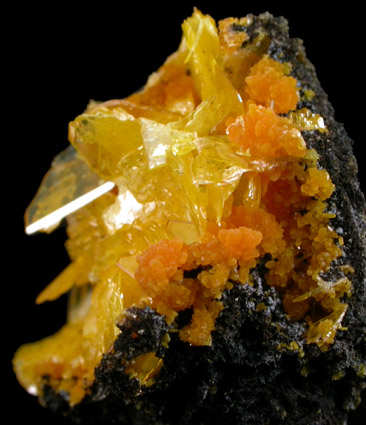 Wulfenite with Mimetite from San Francisco Mine, Cerro Prieto, north of Cucurpe, Sonora, Mexico