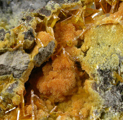 Mimetite and Wulfenite from San Francisco Mine, Cerro Prieto, north of Cucurpe, Sonora, Mexico