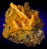 Wulfenite with Mimetite from San Francisco Mine, Cerro Prieto, north of Cucurpe, Sonora, Mexico