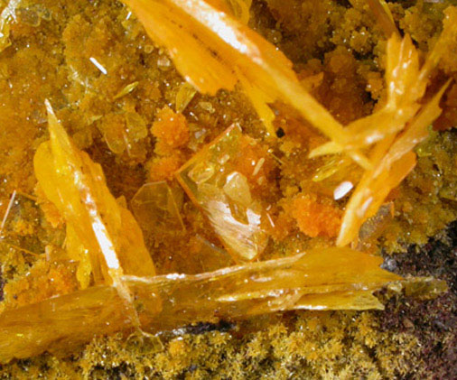 Wulfenite with Mimetite from San Francisco Mine, Cerro Prieto, north of Cucurpe, Sonora, Mexico