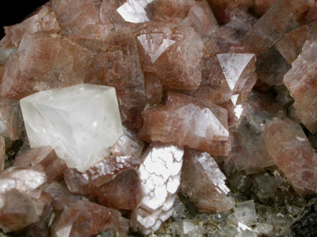 Heulandite-Ca and Calcite from Prospect Park Quarry, Prospect Park, Passaic County, New Jersey