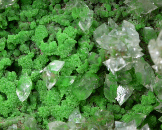 Calcite on Conichalcite from Mina Ojuela, Mapimi, Durango, Mexico