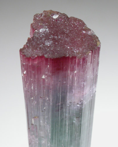 Elbaite Tourmaline from Pederneira Mine, Sao Jose da Safira, Minas Gerais, Brazil