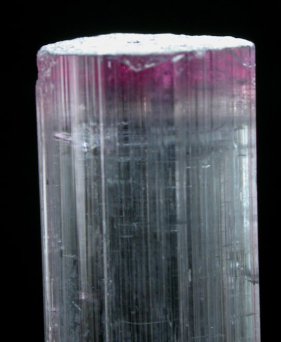 Elbaite Tourmaline from Pederneira Mine, Sao Jose da Safira, Minas Gerais, Brazil