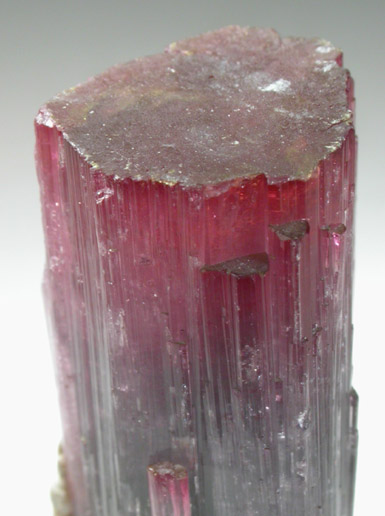 Elbaite Tourmaline from Pederneira Mine, Sao Jose da Safira, Minas Gerais, Brazil