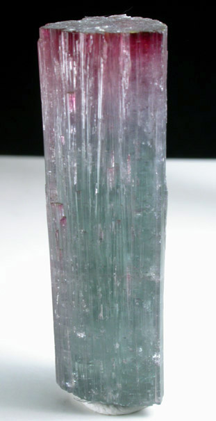 Elbaite Tourmaline from Pederneira Mine, Sao Jose da Safira, Minas Gerais, Brazil