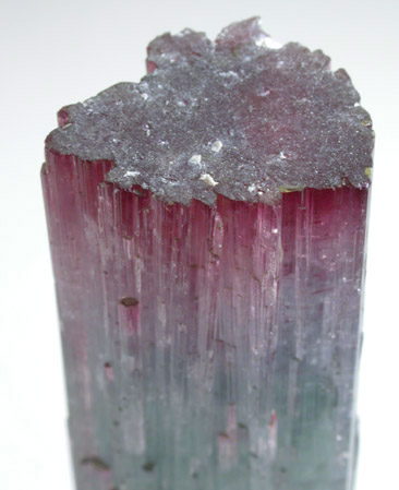 Elbaite Tourmaline from Pederneira Mine, Sao Jose da Safira, Minas Gerais, Brazil