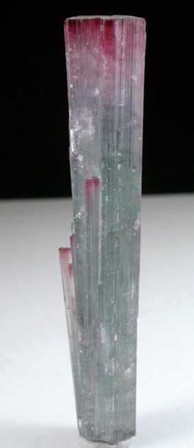 Elbaite Tourmaline from Pederneira Mine, Sao Jose da Safira, Minas Gerais, Brazil