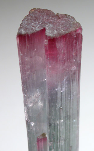 Elbaite Tourmaline from Pederneira Mine, Sao Jose da Safira, Minas Gerais, Brazil