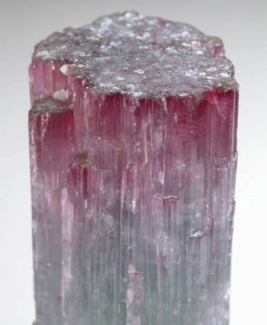 Elbaite Tourmaline from Pederneira Mine, Sao Jose da Safira, Minas Gerais, Brazil