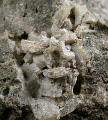 Melilite from Monte Somma, Campania, Italy