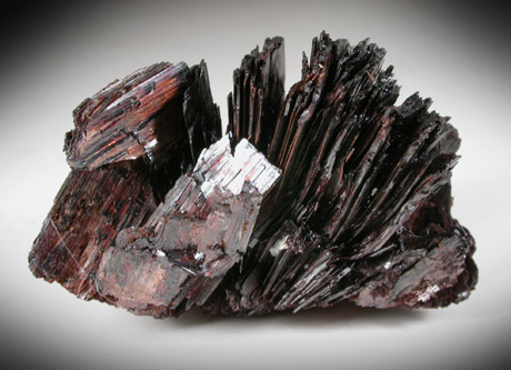 Hbnerite from Silverton Mining District, San Juan County, Colorado