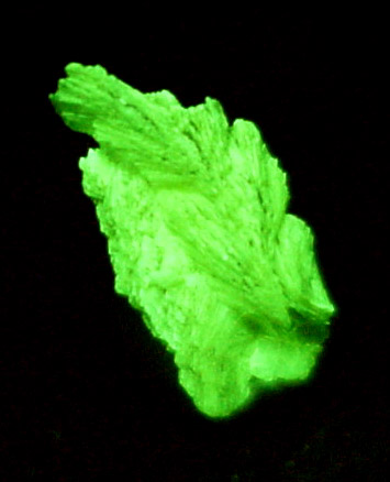 Uranocircite from Lavra Sao Pedro, Malacacheta District, Minas Gerais, Brazil