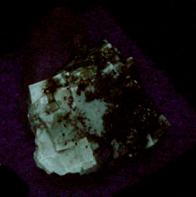 Fluorite with Calcite from Pint's Quarry, Raymond, Black Hawk County, Iowa