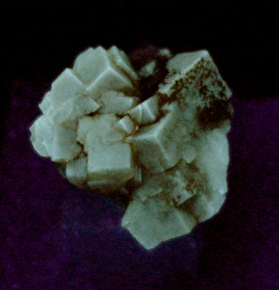 Fluorite from Pint's Quarry, Raymond, Black Hawk County, Iowa