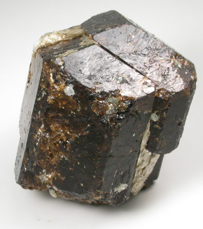 Dravite Tourmaline with Phlogopite from Yinnietharra Station, Pilbara, Western Australia, Australia