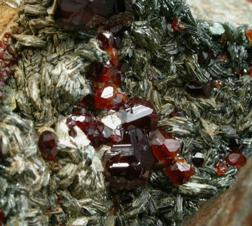 Grossular Garnet and Clinochlore from Passo del Faiallo, Urbe, Savona, Liguria, Italy