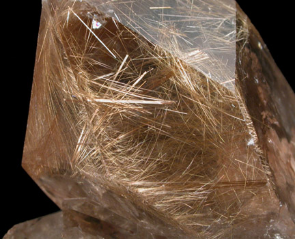 Quartz with Rutile inclusions (Rutilated Quartz) from Novo Horizonte, Bahia, Brazil