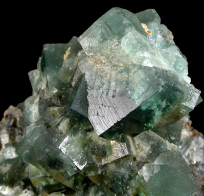 Fluorite (twinned crystals) with Galena from Rogerley Mine, Weardale, County Durham, England