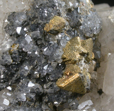 Tetrahedrite, Chalcopyrite, Galena, Quartz from Herodsfoot Mine, Liskeard, Cornwall, England