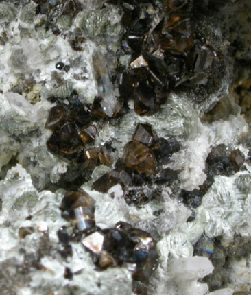 Cassiterite, Quartz, Muscovite from Wheal Unity Wood, St. Day, Cornwall, England