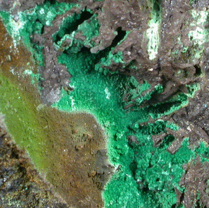 Chalcophyllite, Cuprite, Chrysocolla from Wheal Unity, St. Day, Cornwall, England