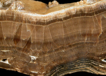 Barite var. Oakstone from Arbor Low, Derbyshire, England