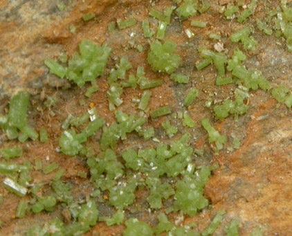 Pyromorphite from Trevinnick Mine, Sts Endellion, Cornwall, England