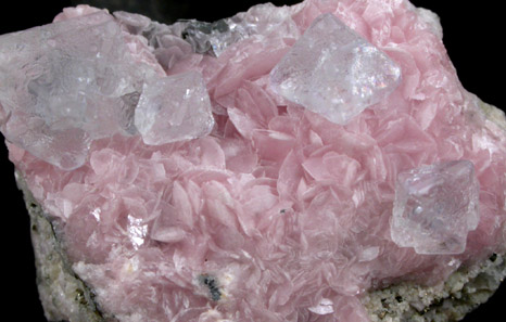 Fluorite and Rhodochrosite from Urad Mine, Clear Creek County, Colorado