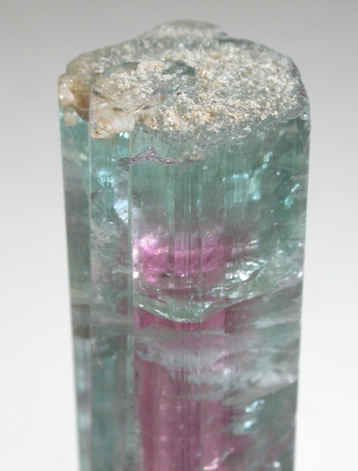 Elbaite var. Watermelon Tourmaline from Santa Rosa Mine, Minas Gerais, Brazil