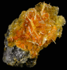 Wulfenite with Mimetite from San Francisco Mine, Cerro Prieto, north of Cucurpe, Sonora, Mexico