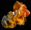 Wulfenite with Mimetite from San Francisco Mine, Cerro Prieto, north of Cucurpe, Sonora, Mexico