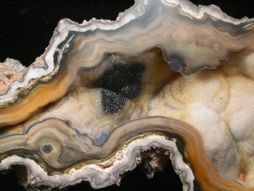 Quartz var. Agate pseudomorphs after Coral (Tampa Bay Coral) from Ballast Point, Tampa Bay, Hillsborough County, Florida