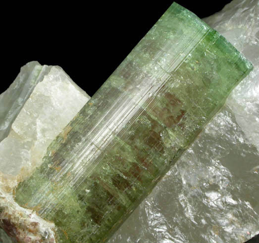 Elbaite Tourmaline in Quartz from Santa Rosa Mine, Itambacuri, Minas Gerais, Brazil