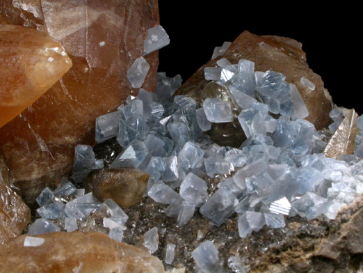 Calcite and Celestine from Pugh Quarry, 6 km NNW of Custar, Wood County, Ohio