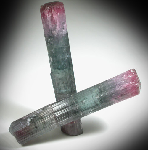 Elbaite Tourmaline from Pederneira Mine, Sao Jose da Safira, Minas Gerais, Brazil