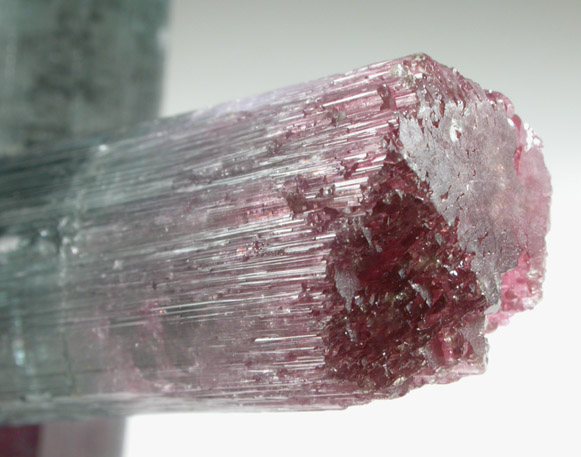 Elbaite Tourmaline from Pederneira Mine, Sao Jose da Safira, Minas Gerais, Brazil