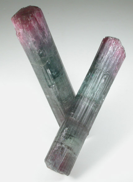 Elbaite Tourmaline from Pederneira Mine, Sao Jose da Safira, Minas Gerais, Brazil