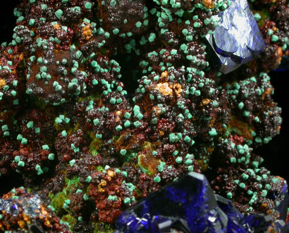 Azurite and Malachite with Malachite pseudomorphs after Cuprite from Bisbee, Warren District, Cochise County, Arizona