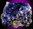 Azurite on Quartz from Manto Cuba Mine, Inca de Oro, Chile