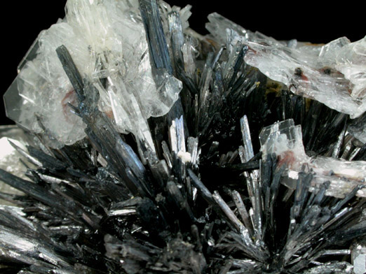 Barite and Stibnite from Baia Sprie (Felsbnya), Maramures, Romania