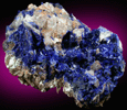 Azurite on Quartz from Manto Cuba Mine, Inca de Oro, Chile