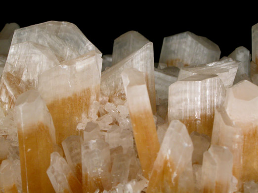 Gypsum var. Selenite from Swan Hill, Victoria, Australia