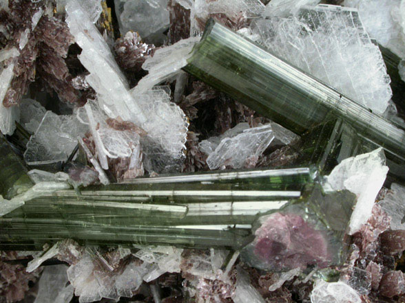 Elbaite Tourmaline, Albite, Lepidolite from Pederneira Mine, Sao Jose da Safira, Minas Gerais, Brazil