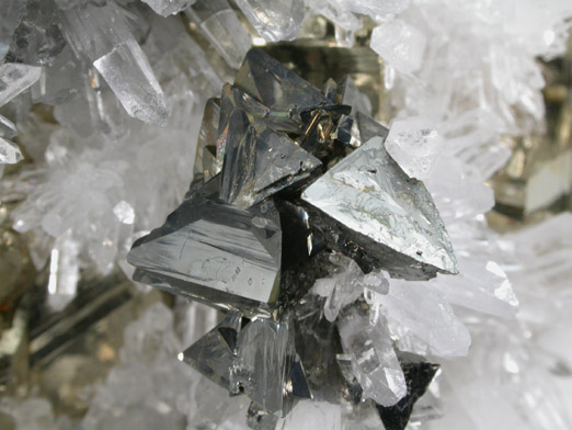 Tetrahedrite, Pyrite, Quartz from Casapalca District, Huarochiri Province, Peru