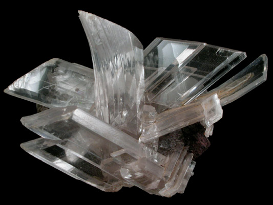 Gypsum var. Selenite from Naica District, Saucillo, Chihuahua, Mexico