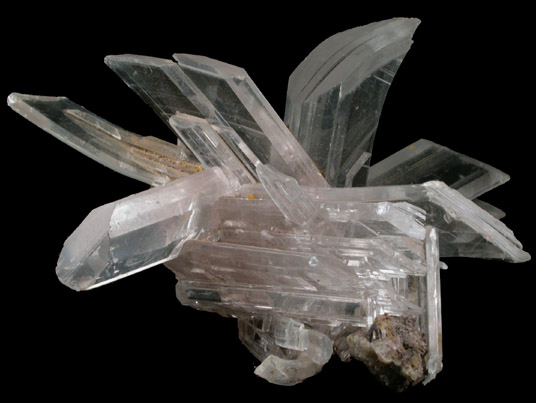 Gypsum var. Selenite from Naica District, Saucillo, Chihuahua, Mexico