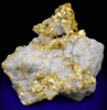 Gold in Quartz from Harvard Mine, Jamestown District, Tuolumne County, California