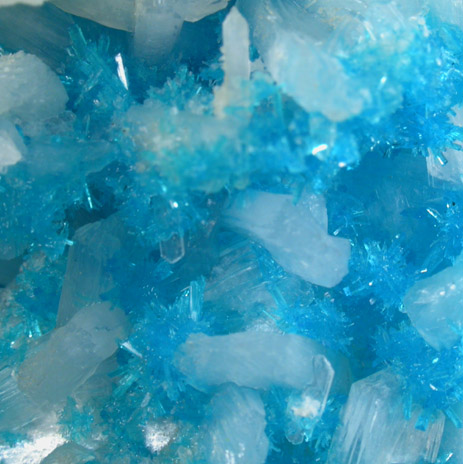 Cavansite on Stilbite-Ca from Wagholi Quarry, Maharashtra, India