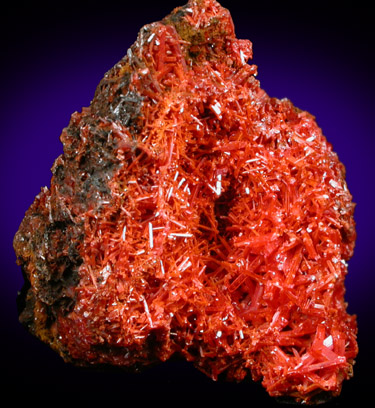 Crocoite from Dundas, Tasmania, Australia